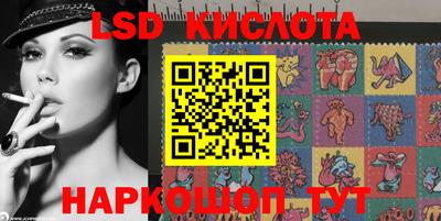 a pvp Новодвинск