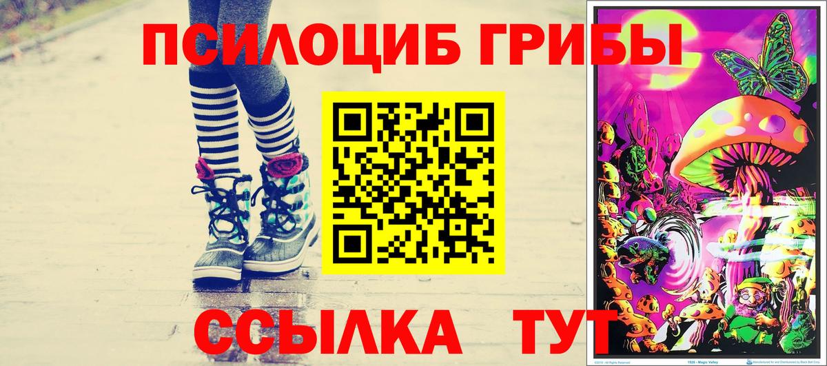 Ставрополь  продажа наркотиков  Вход с VPN  Псилоцибиновые грибы Psilocybine cubensis 